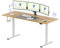FLEXISPOT Electric Standing Desk Adjustable Standing Desk Sit Stand Up Desk Computer Desk with Hook Memory Function for Office and Home (Maple+White, 200 * 80cm)