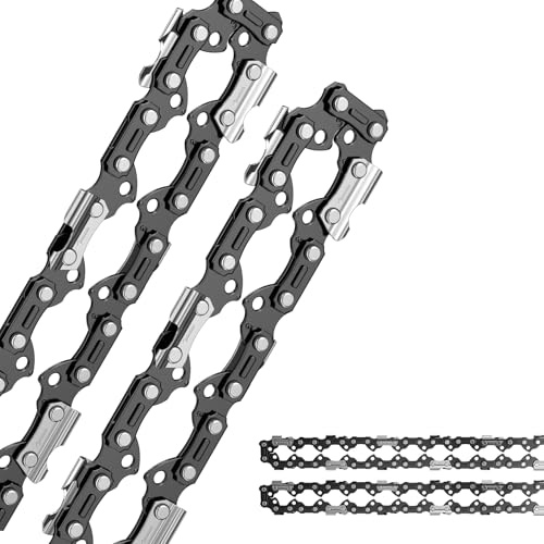 AICOYA 2 x 25cm Sägekette 3/8LP 10 Kettensäge 40 Antriebsglieder 1.3mm 050