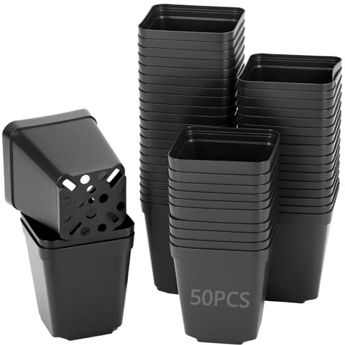 QWORK® 50pcs Pots de pépinière carrés en Plastique de 5.5 cm,Pots de semis, idéaux pour Le démarrage des graines, Les boutures et la Transplantation