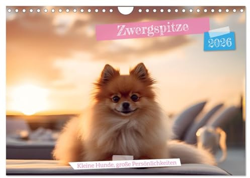 Zwergspitze - kleine Hunde, große Persönlichkeiten (Wandkalender 2026 DIN A4 quer), CALVENDO Monatskalender: Charmante Miniaturhunde in wundervollen Szenen (CALVENDO Tiere)