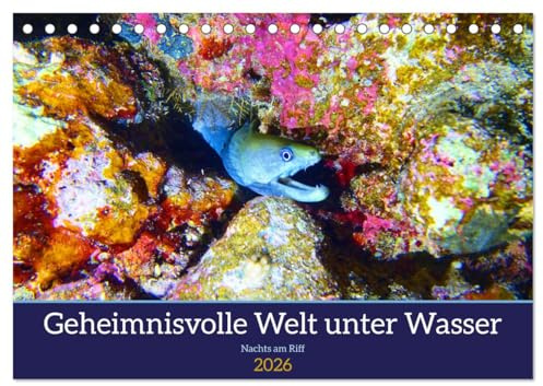 Geheimnisvolle Welt unter Wasser - Nachts am Riff (Tischkalender 2026 DIN A5 quer), CALVENDO Monatskalender: Faszination Nacht-Tauchgänge (CALVENDO Natur)