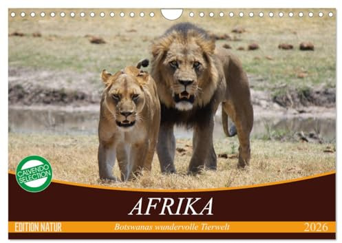 Afrika. Botswanas wundervolle Tierwelt (Wandkalender 2026 DIN A4 quer), CALVENDO Monatskalender: Afrikas wilde Schönheiten aus der Nähe betrachten (CALVENDO Tiere)