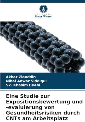 Eine Studie zur Expositionsbewertung und -evaluierung von Gesundheitsrisiken durch CNTs am Arbeitsplatz