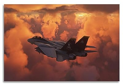 LADV Poster F-14 Tomcat Militärflugzeug, dekoratives Gemälde, Leinwand, Wandkunst, Bild, 40 x 60 cm