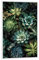 artboxONE Poster mit weiem Rahmen 75x50 cm Natur Sukkulenten und Kakteen R - Bild sukkulenten Blumen Blumen
