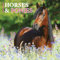 Pferde & Ponys Kalender 2025