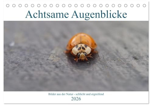 Achtsame Augenblicke (Tischkalender 2026 DIN A5 quer), CALVENDO Monatskalender: Bewusste achtsame Fotografie aus der Natur - schlicht und ergreifend (CALVENDO Natur)