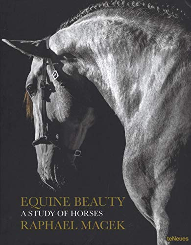 Equine Beauty, Small Format Edition: A Study of Horses - Small Edition (Photographer)