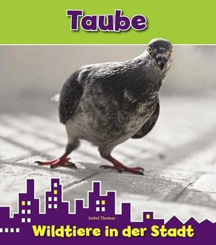 Taube: Wildtiere in der Stadt (CORONA Sachbücher)