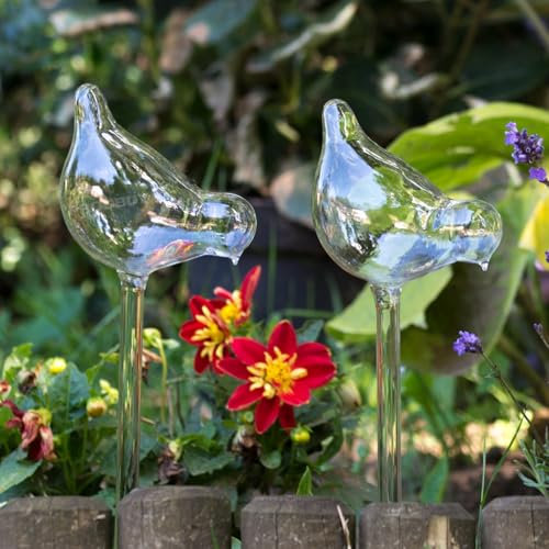 Glass Bird Watering Sticks Water Liquid House Plant Feeder Drip Spikes (2)
