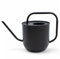 Regadera con diseño de flores de metal, color negro mate, 1,8 l, regadera con boquilla larga, elegante