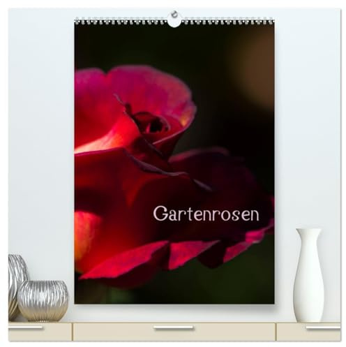 Gartenrosen (hochwertiger Premium Wandkalender 2026 DIN A2 hoch), Kunstdruck in Hochglanz: Rosenblüten in Licht und Schatten (CALVENDO Natur)