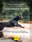 Nie mehr Stress mit meinem jagenden Hund: So lenken Sie das Jagdverhalten des Hundes in die richtigen Bahnen (GU Hundeerziehung)