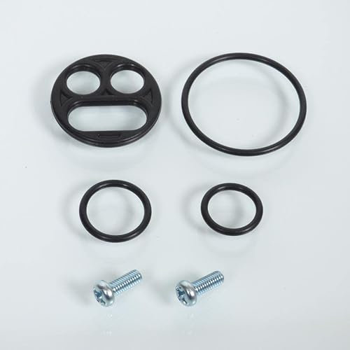 Kit réparation de robinet d'essence compatible avec moto Kawasaki 600 ZZR 1993-1998 FCK-28 Ø23mm