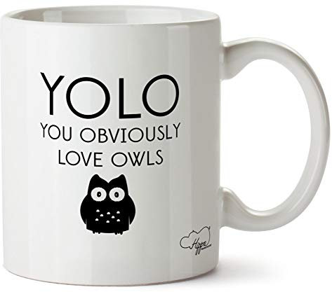 Hippowarehouse You Obviously Love Owls Printed Mug Cup Ceramic 10oz