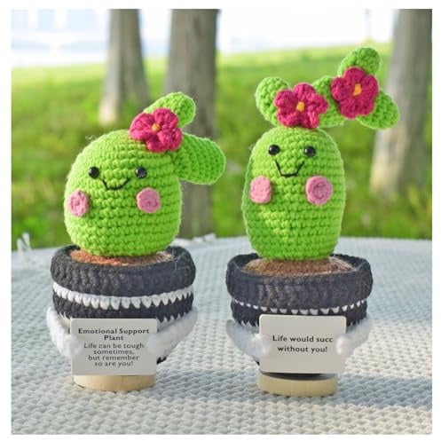 Aiouclay 2 pezzi Cactus positivo all'uncinetto, 15,5 cm, regalo di patate con biglietto incoraggiante, supporto emotivo, regalo all'uncinetto per colleghi, amici, insegnanti, ufficio, decorazione da