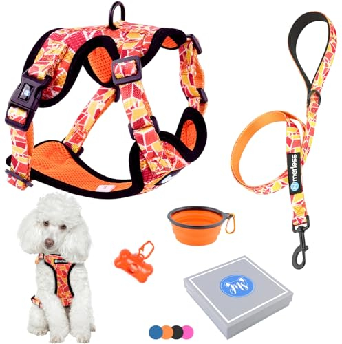 Hundegeschirr für kleine Hunde Welpen Katzen (7-11,5kg) Verstellbares Geschirr, Anti-Zug für Hunde mittlere oder große Katzen, Maine Coon robust originell Spaziergangszubehör (M Orange, Set)