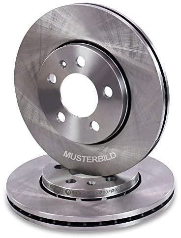 ATEC Germany 2x Bremsscheiben vorne Ø 313 mm Kompatibel mit FORD GALAXY I (WGR), SEAT ALHAMBRA (7V8, 7V9), VW SHARAN (7M8, 7M9, 7M6), TRANSPORTER T4