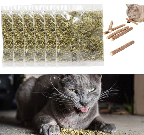 Erba Gatta,Erba Gatta Essiccata,Bastoncini da Masticare per Gatti,Giocattolo Catnip per Gatti,Giocattolo di Erba Gatta,Masticare Gatto,Giocattolo da Masticare per Gatti,per La Cura Orale Del Gatto