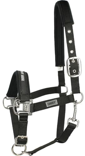 Halfter PIN BUCKLE CORE