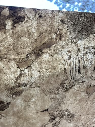 Wandverkleidung Naturstein 122 x 61 cm Echtstein Marmor Universal Boden Fliese Innen + Außen + Dusche + Kamin + Sauna Verblender Riemchen Klinker