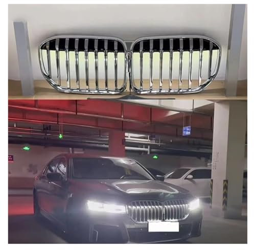DZSHONGXINSM Kühlergrill Für 7 Serie G11 G12 730i 740i 750i 740e 730d 2020-2022 Front Stoßstange Nieren Grille Haube Racing Grills Nieren Kühlergrill(Silber)