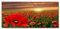 Morbuy Personalisierte Fußmatte Rutschfester Türvorleger mit 3D-Landschaftsdruck, Schmutzfangmatte Waschbar Fussmatte Innen Badteppiche (50x80cm,Rote Mohnblumen)