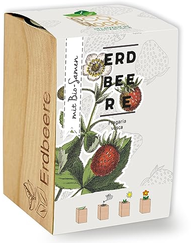 Feel Green ecoblock Erdbeere, Bio Samen, Nachhaltige Geschenkidee (100% Eco Friendly), Grow Your Own/Anzuchtset, Pflanzen im Holzblock, Made in Austria