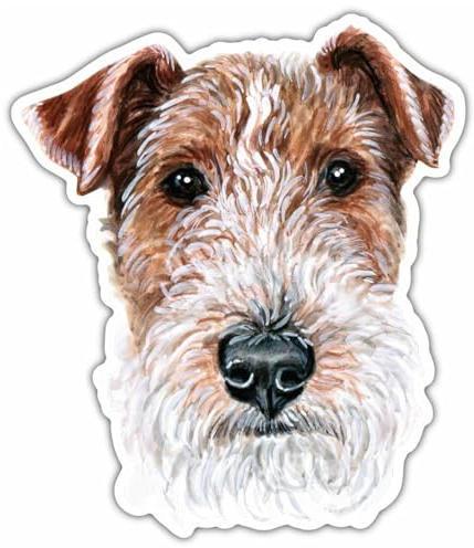 Samunshi® Drahthaar Foxterrier Aufkleber Car Decal Sticker für Mofa Fahrrad Roller oder Auto Sticker Fahrrad Mtb Mountainbike Rennrad Hund Dog Dogo 15cm Drahthaar Foxterrier
