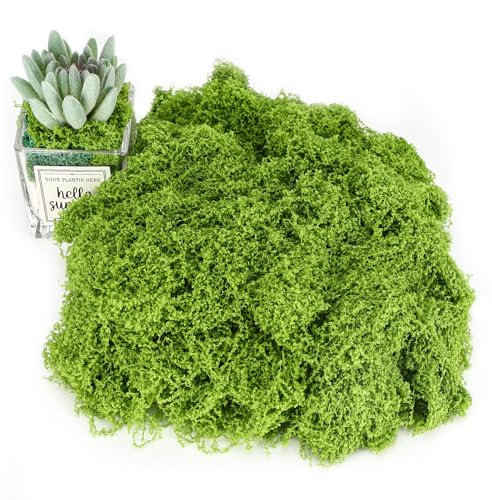 Muschio Finto per Decorazioni 200g, Muschio Finto per Decorazioni, Artificial Moss È Morbido E Riutilizzabile, Muschio Finto per Terrario, Acquario, Natale, Pasqua, Parete