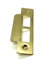 Brass Finish Long Strike Plates Double 114mm Length x 25mm Width x 1mm Thick for Mortise Latch or Tubular Lock (Brass Finish)