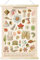 Vintage Ozean-Poster, Ozean, Leben, Quallen, Marine, Biologie, Wissenschaft, Wandkunst, rustikaler Stil, Wandbild, Poster für Wohnzimmer, Büro, Klassenzimmer, Schlafzimmer, Dekorrahmen, 40x60 cm