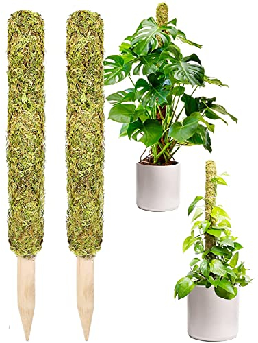 Moss Pole,Moss Pole for Plants Monstera,2 Pack Extending to 27inch Natural Forest Moss Poles for Climbing Plants,Plant Poles for Potted Plants Indoor,Moss Stick Used Separately or Joined Together.…