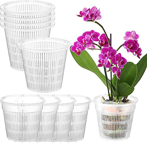 Zaslan 10 Stück durchsichtige Orchideen-Töpfe aus Kunststoff, Löcher, Orchideen, atmungsaktiv, geschlitzter Topf, transparenter PP-Blumentopf für den Außen- und Innenbereich
