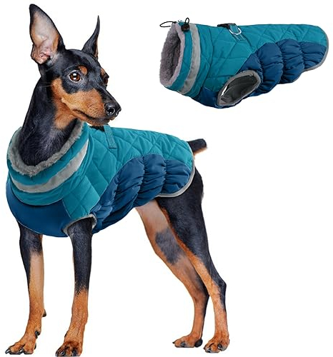 Hundejacke Mittelgroße Hunde, Hundejacke Wasserdichter Winter Warm Hund Kleidung wasserdichte Hundemantel Winter Gepolstert Puffer Thermomantel für Hunde(Dunkelgrün, M)
