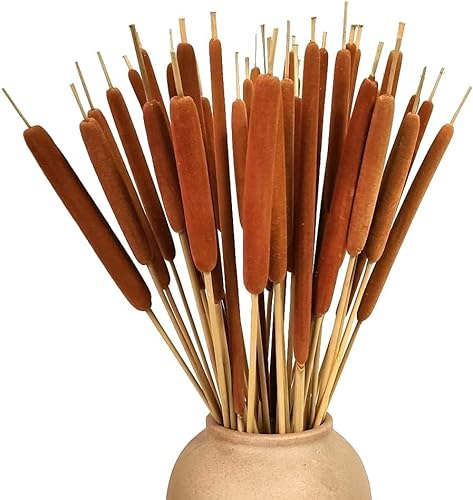 DongArts 40 Stück getrocknete natürliche Rohrkolben Jumbo für rustikales Blumenarrangement, 43,2 cm, Herbsthochzeitsdisplay oder Mittelstücke am Seeufer, Heimdekoration