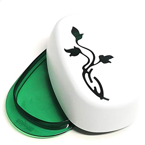 Berossi Beurrier en plastique avec couvercle Motif floral Sans BPA Rangement dans le réfrigérateur Boîte à beurre en plastique Beurrier Plateau tournant Boîte de service Style floral beurrier vert