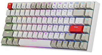 NEWMEN GM840 75% Mechanical Keyboard TKL,Wired&Wireless Keyboard,USB-C&2.4G&Bluetooth Anti-Ghosting RGB backlight grammable Gaming Keyboards for Win&Mac&Android,Gateron switch (G-Red)
