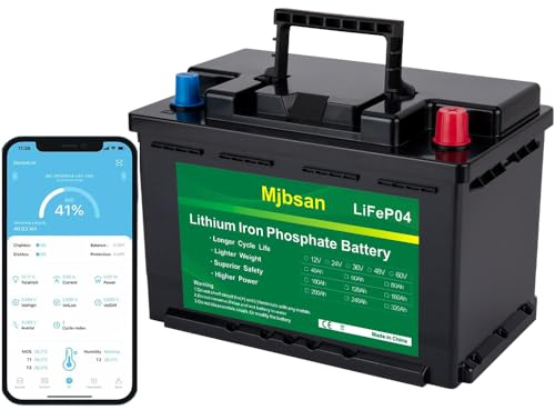 Mjbsan 12V 100Ah Deep Cycle LiFePO4 Batterie, 100A BMS, 4000-8000 Zyklen, max 1280W Leistung, perfekter Ersatz für Blei-Säure Batterien für Wohnwagen, Camping, Solar Home Systeme, Boote