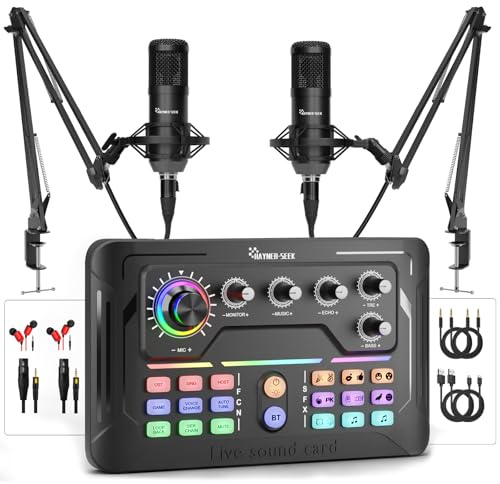 Hayner-Seek Audio Interface Podcast Equipment Bundle for 2