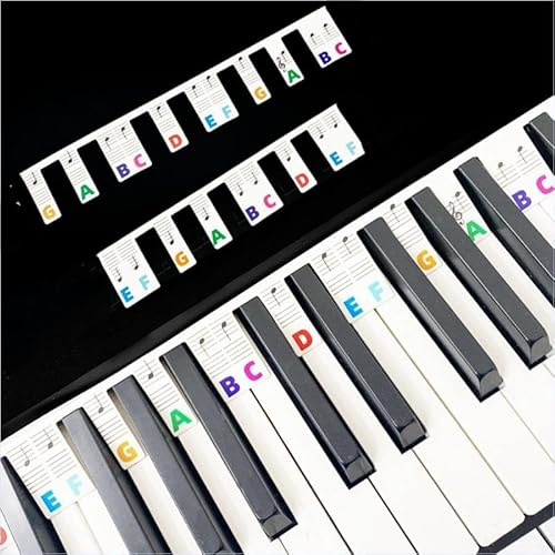 Musfunny Abnehmbare Klaviertastatur Notenetiketten: 88 Tasten in voller Größe Silikon Keyboard Noten Aufkleber mit Aufbewahrungsbox für Kinder Erwachsene Anfänger Lernen
