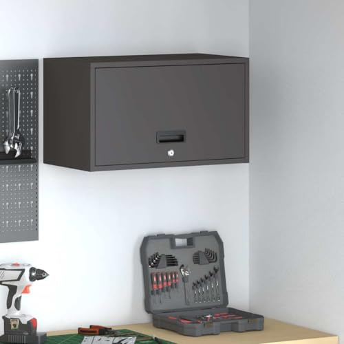 Ordellia Armoire Murale pour Garage Noire en Acier revêtu, 60 x 33 x 35 cm, casier Rangement Placard vestiaire avec Serrure à clé, pour Atelier Bureau et entrée,