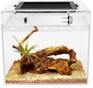 Reptile Growth mini Reptile Terrarium,8 x 8x 8 Reptile Tank with Full View Visually Appealing，for Insect，Fish，Tarantula，Hermit Crab，Jumping Spider，Iguana，Tortoise，Leopard Gecko，Frog，Bearded Dragon