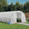 Festnight Serra da Giardino, Serra per Orto, Serra Tunnel, Serra con Telaio in Acciaio Bianco 24 m² 8x3x2 m