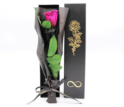 Pandiui23 Rosa Eterna preservada, Rosa eterna, Rosa Natural Preservada, Flores Preservadas, Regalo San Valentín, Regalo Dia de la Madre Regalo Mama, Regalo Navidad, (Rosa púrpura)