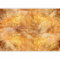 murando - Papier peint panoramique nature 350x256 cm - Revêtement mural décoration pour chambre salon cuisine - Design unique et moderne - Beige marron jaune - b-A-10185-a-a