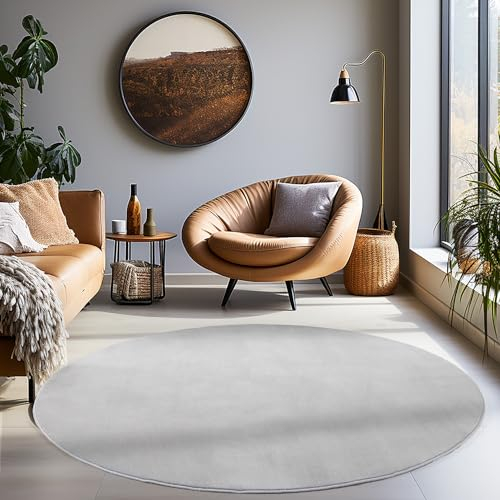 Carpetsale24 Teppich Wohnzimmer Einfarbig Moderne Design Silberfarbe 160 cm Rund - rutschfest Kurzflor Teppich für Schlafzimmer Extra Weich und Flauschig - Waschbarer Teppich Esszimmer Küche