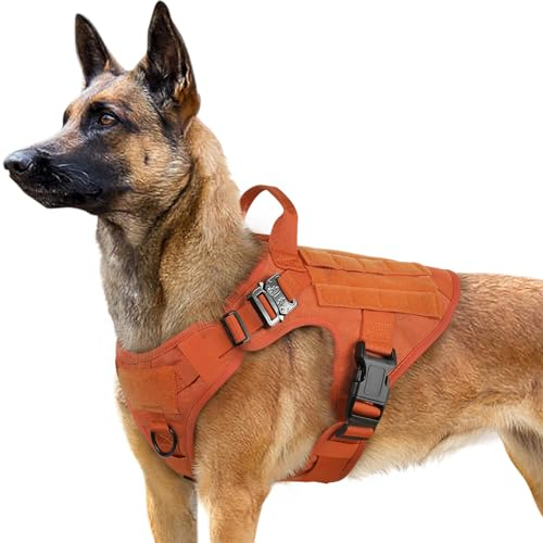 rabbitgoo No Pull Hundegeschirr Mittlere Grosse Hunde, Taktische Brustgeschirr mit MOLLE Griff Metallschnallen, Atmungsaktiv Militär Sicherheitsgeschirr, Verstellbares Gepolstert Hundeweste, L Orange