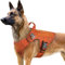rabbitgoo No Pull Hundegeschirr Mittlere Grosse Hunde, Taktische Brustgeschirr mit MOLLE Griff Metallschnallen, Atmungsaktiv Militär Sicherheitsgeschirr, Verstellbares Gepolstert Hundeweste, L Orange