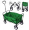 BDW - Bollerwagen Faltbar Kinder - Handwagen - Gartenwagen - Einkaufs-,Transport-, Sport-, Camping-, Strandwagen - Trolley für Hunde - Karren - Wasserfest - Klappbar - bis 75kg Belastung - Grün